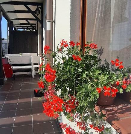 Apartamenty Kalinowa Rowy  Dış mekan fotoğraf