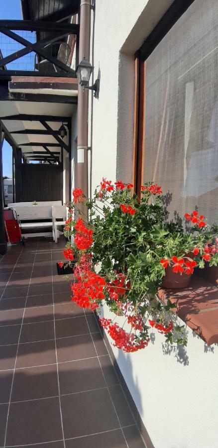 Apartamenty Kalinowa Rowy  Dış mekan fotoğraf